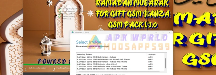 Windows 11 PRO 22H2 X64 GSM PACK V3.0 Lite 8IN1 OS Build 22621.1105