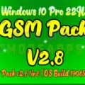  Windows 10 Pro 22H2 GSM Pack V2.8